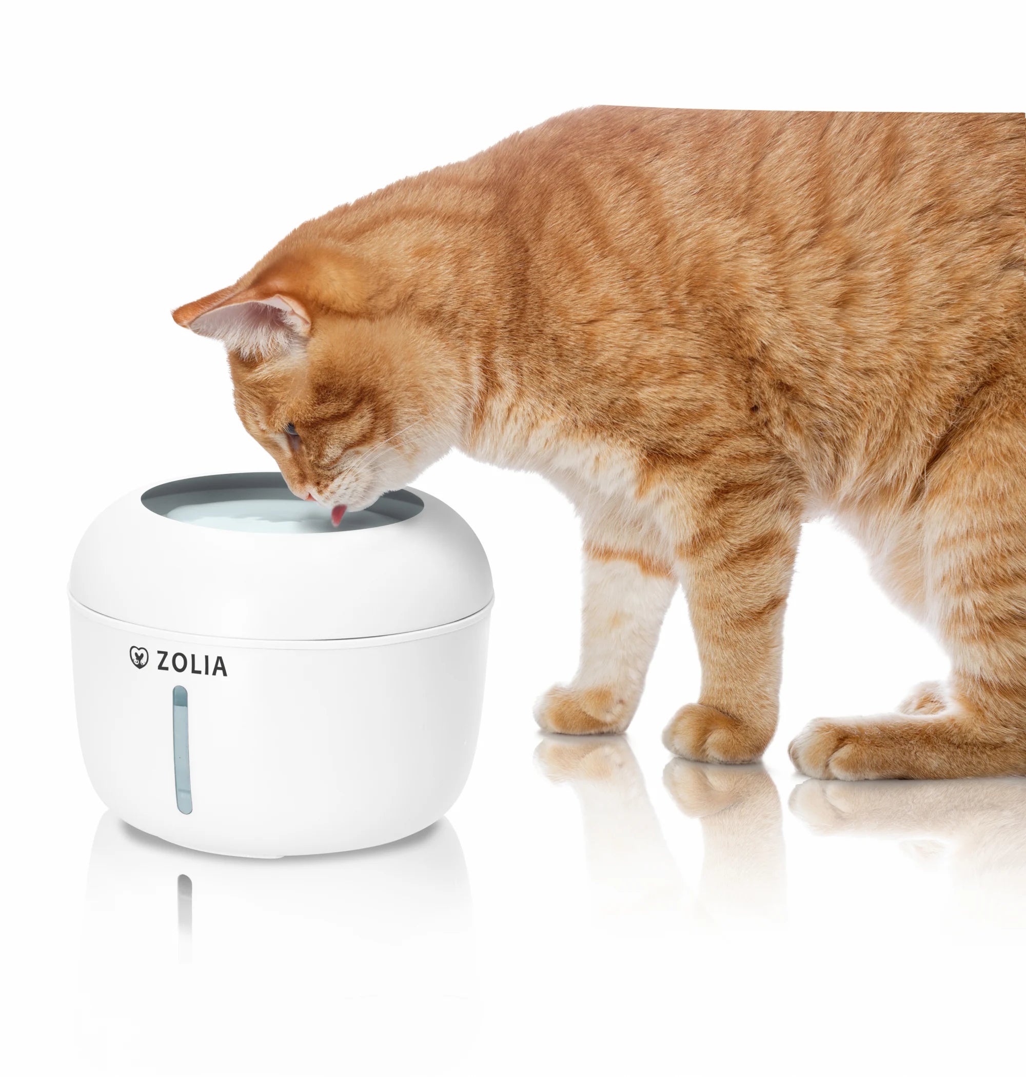 Zolia Zen Falls - 2L - Water fountain for cats and small dogs